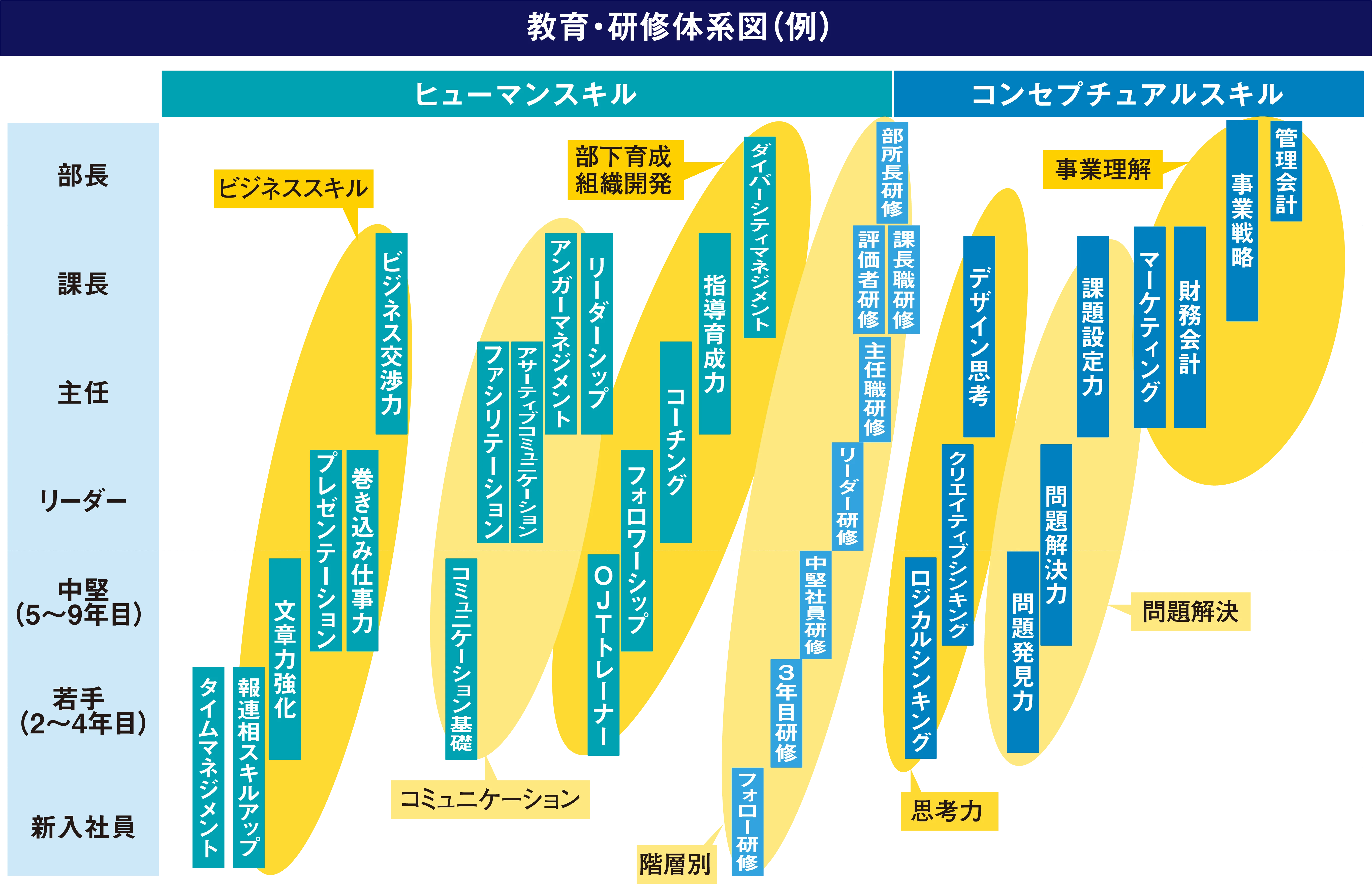 教育・研修体系図（例）